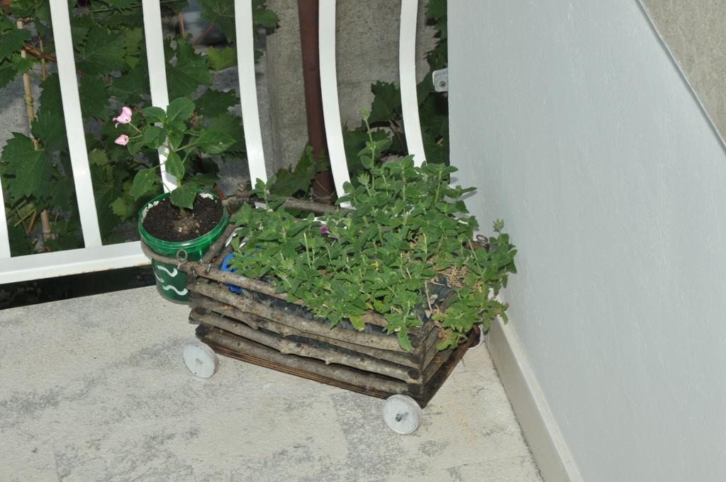 Apartments La Dolce Vita Herceg Novi Dış mekan fotoğraf